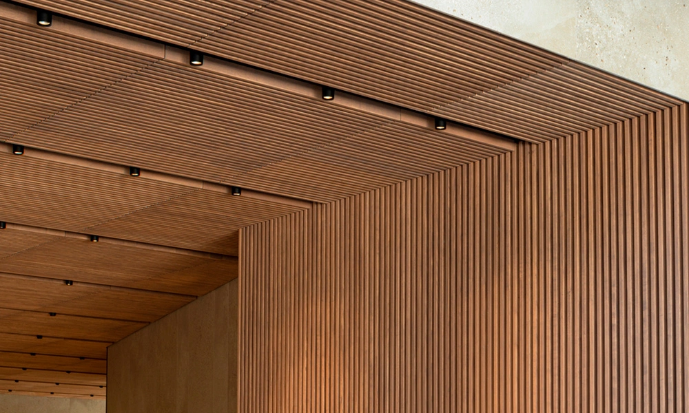 Detalle iluminación techo